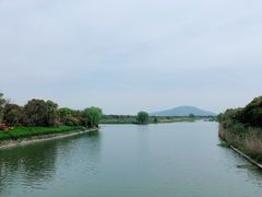 -太湖湖滨国家湿地公园-停车场