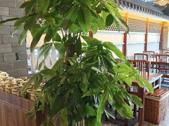 -苏渝汇重庆江湖菜(桐泾公园店)