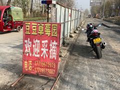 -白鹿原樱桃园