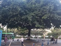 -四川大学(望江校区)