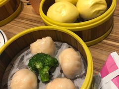 -粤港餐厅(禹州商业广场店)