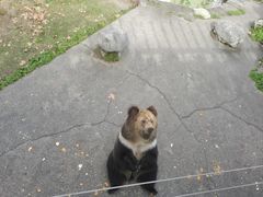 -成都动物园