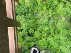 -少华山国家森林公园
