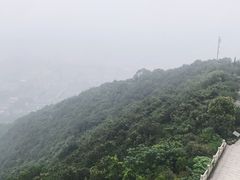 -杭州半山国家森林公园