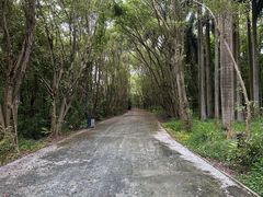 -大湾区中央湿地公园