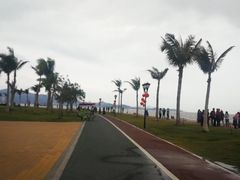 -野狸岛