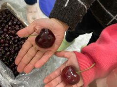 -西郊国际农产品交易中心