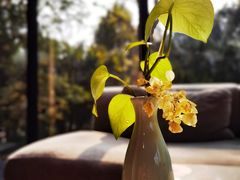 -自在逸舍·简餐下午茶