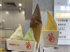 -野人先生现做冰淇淋(北京环宇荟店)