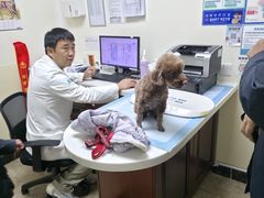-美联众合动物医院·24h转诊中心