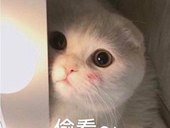-海底捞火锅(振华商厦店)