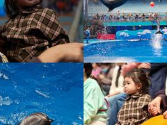 -海合安成都极地海洋公园