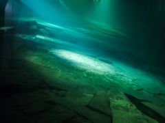 -白鹤梁水下博物馆