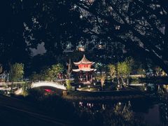 -四海公园(南山区)
