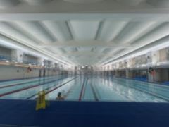 -重庆市奥林匹克体育中心-游泳跳水馆