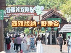 -野象谷景区