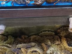 -金海湾海鲜总店