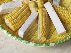 -墨脱石锅椰子鸡•香草鸭•东山羊(大东海店)