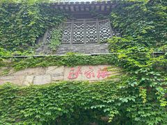 -沙家浜风景区