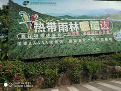 -呀诺达热带雨林