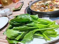 -锅十二涮肉馆·鞭蛋锅