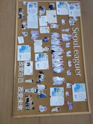 -上海首尔丽格医疗美容医院