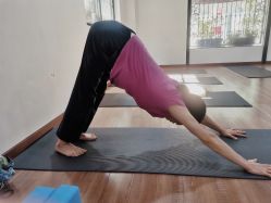 -兴亚瑜伽20年老馆