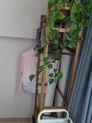 -Dr.林醫生产后修复·超级店(南京江宁同曦店)
