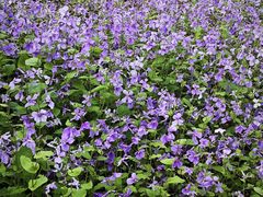 -汉水公园