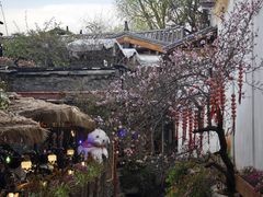 -麦当劳(丽江玉河广场店)