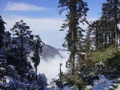 -瓦屋山景区