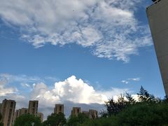 -拌来拌去石鍋拌飯(文鼎店)