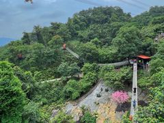 -南丹山森林王国
