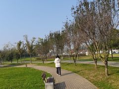 -洨河生态公园
