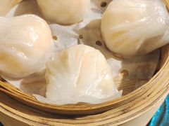-金翠河烧鹅餐厅(解放碑时代广场店)
