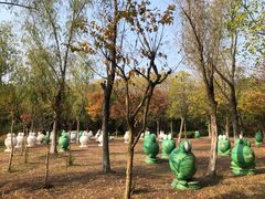 -合肥三国新城遗址公园