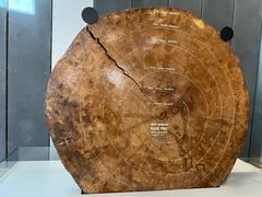 -墨尔本博物馆(Melbourne Museum)