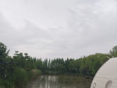 -阿林有机农庄