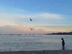 -阿弟特色海鲜餐厅·大排档(平潭店)