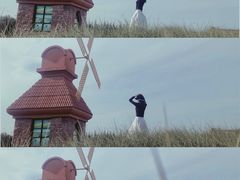 -杭州湾海上花田景区