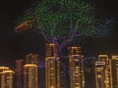 -重庆市江北嘴中央商务区中央公园