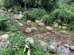 -堤角公园