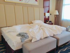 -东北大厦酒店(沈阳北站青年大街店)