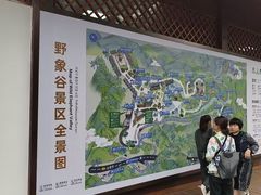 -野象谷景区