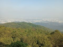 -东莞市大岭山森林公园