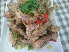 -烁佳海鲜大馅饺子