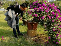 -广西壮族自治区药用植物园