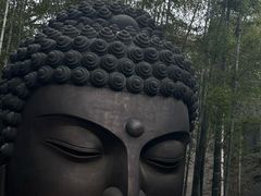 -杭州植物园