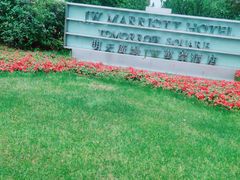 -上海明天广场JW万豪酒店