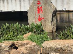 景点-洛龙公园